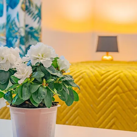 Goscinne U Elzbiety Проживание в семье Мжежино