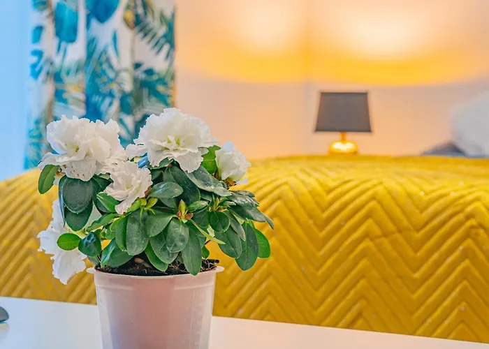 Gościnne U Elżbiety Kwatera prywatna Mrzeżyno