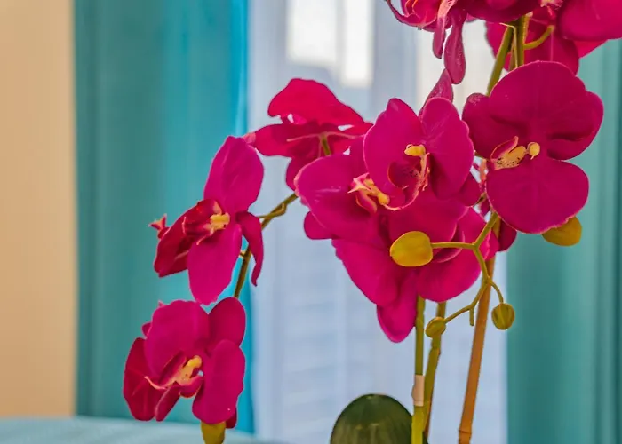 Gościnne U Elżbiety